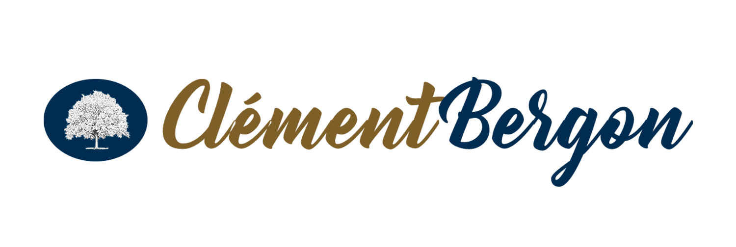 Logo Clément Bergon, Conférencier - Coach - Formateur Management