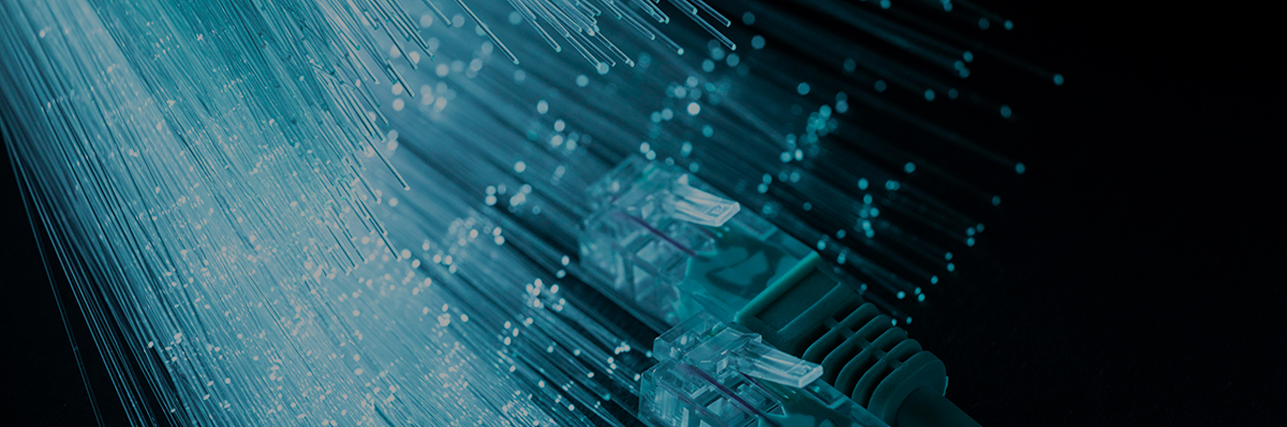 Ban fibre 2